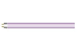 Purple_Plus_1920x1280